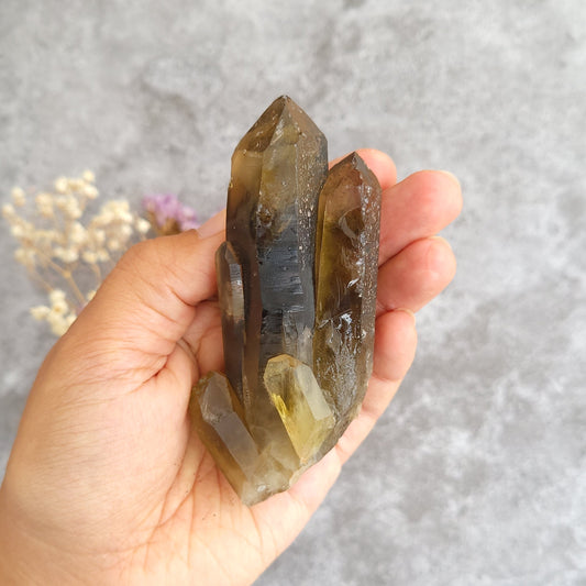 A hand holding a irradiated smoky quartz crystal cluster with multiple pointed crystal formations, set against a textured gray background with dried flowers.