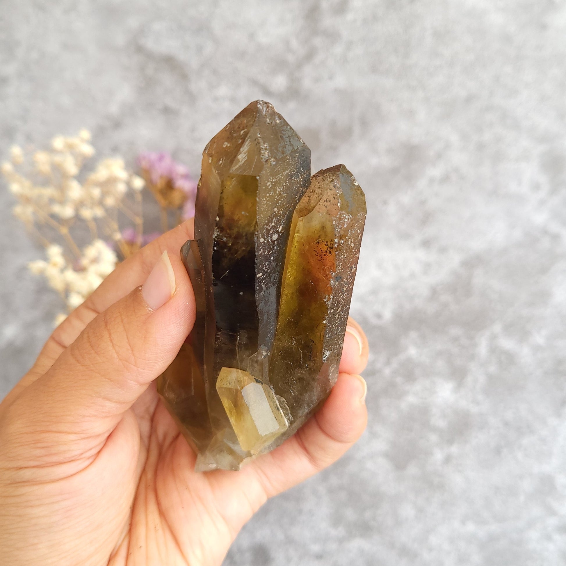 A hand holding a irradiated smoky quartz crystal cluster with translucent brown and amber tones, set against a soft gray textured background with dried flowers.