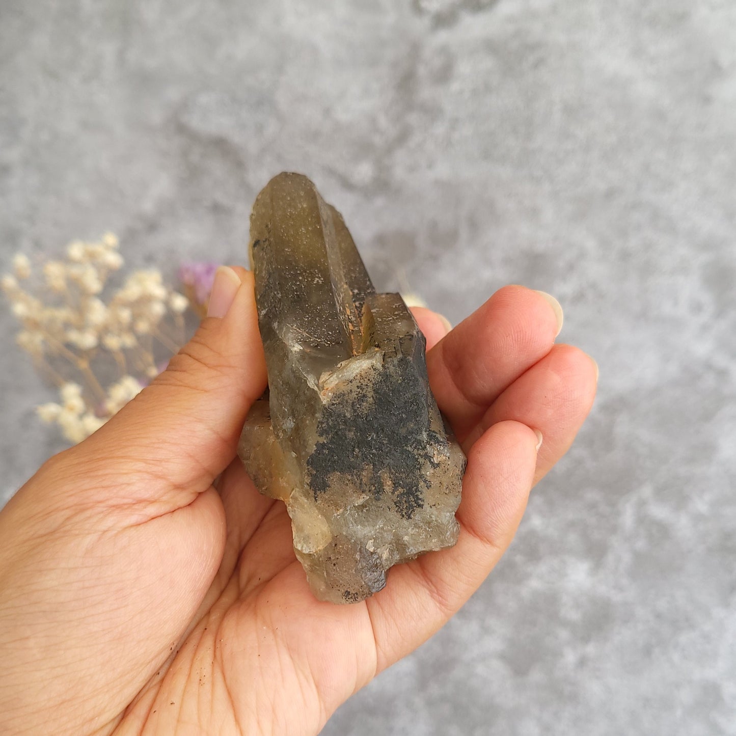 A hand holding a irradiated smoky quartz crystal cluster with dark inclusions, set against a textured gray background with dried flowers in the soft focus.