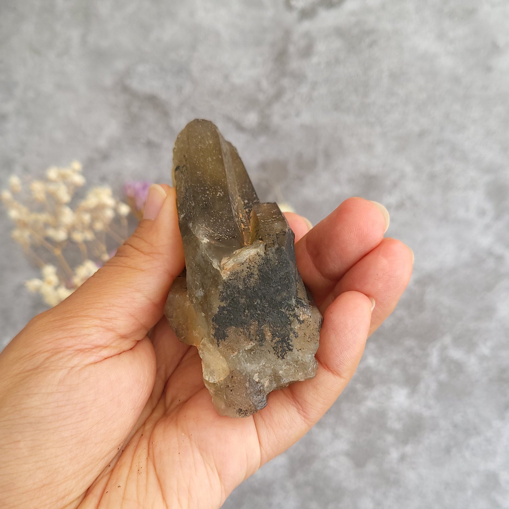 A hand holding a irradiated smoky quartz crystal cluster with dark inclusions, set against a textured gray background with dried flowers in the soft focus.