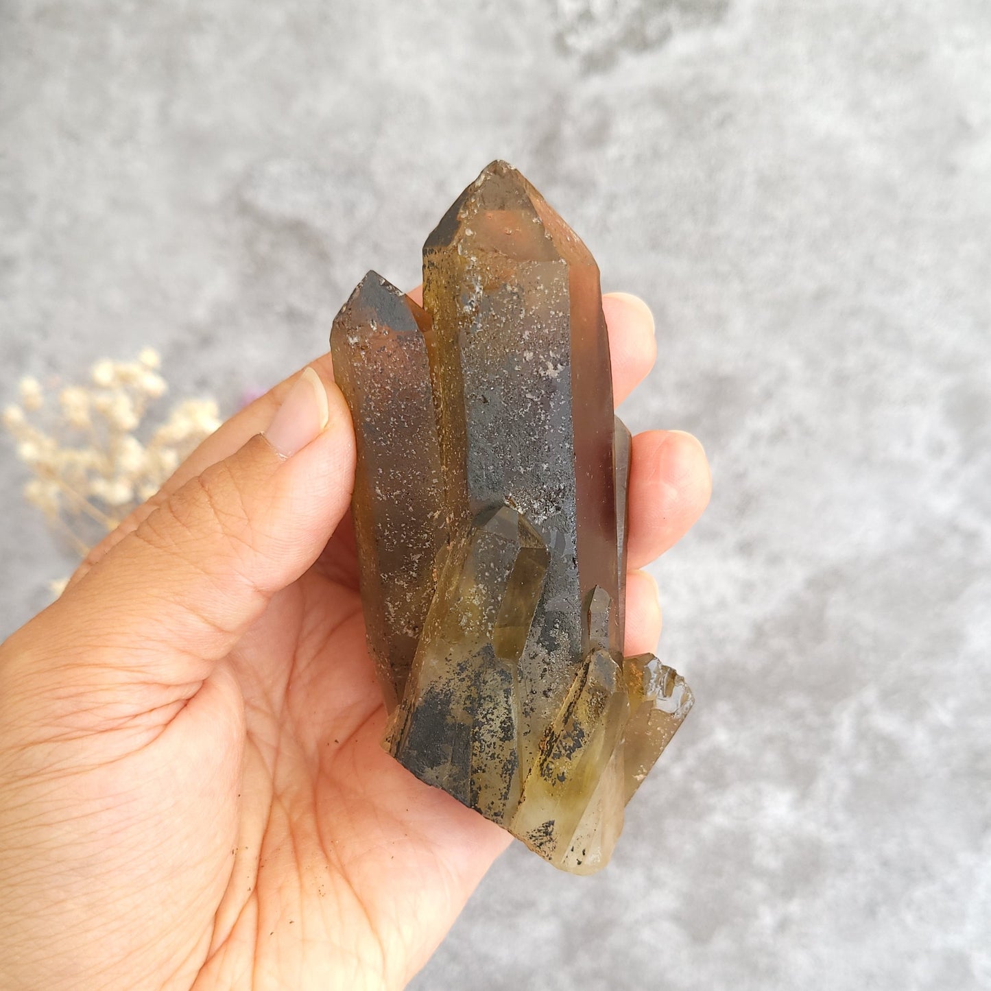 A hand holding a irradiated smoky quartz crystal cluster with dark brown and amber tones against a textured gray background.