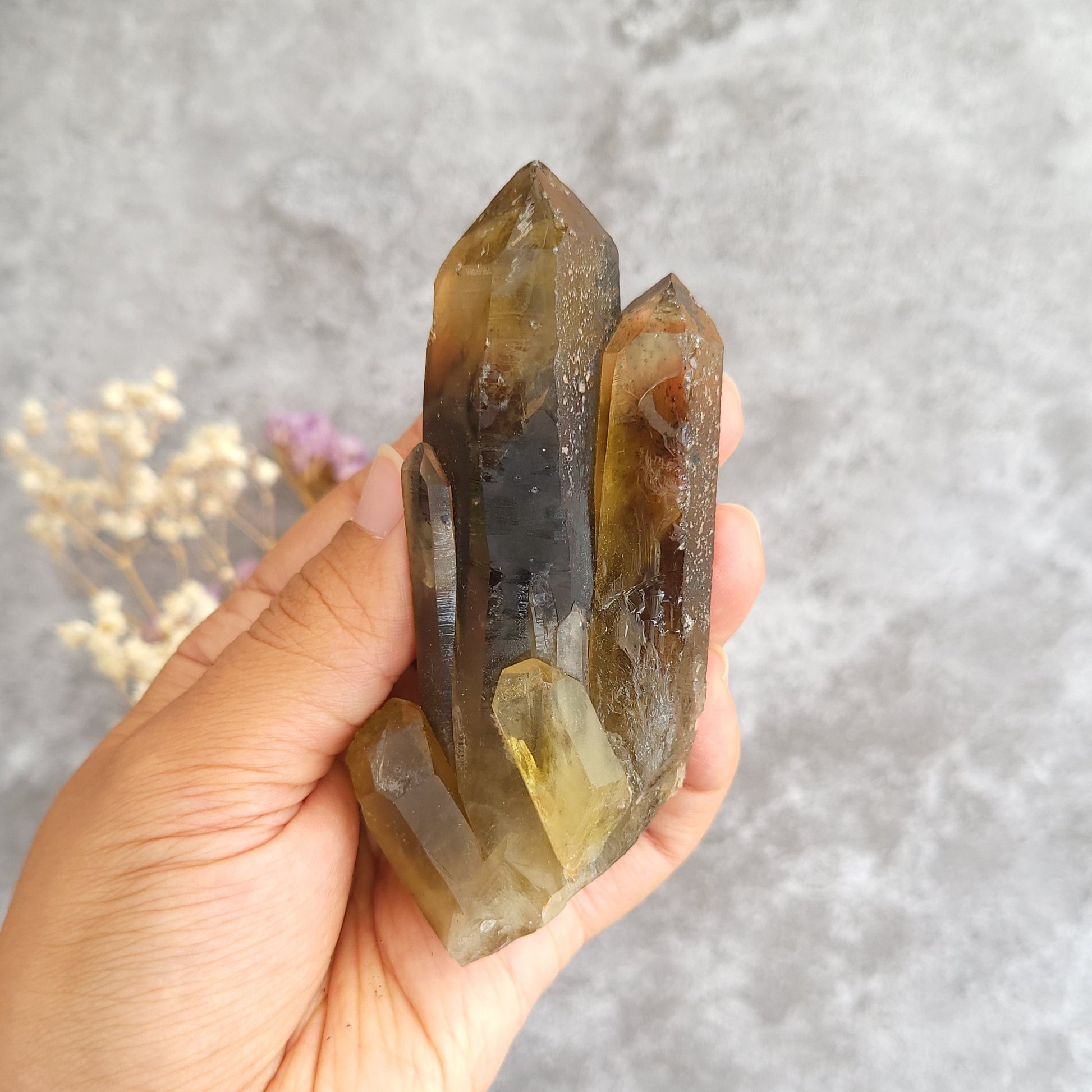 A hand holding a irradiated smoky quartz crystal cluster with multiple pointed tips, set against a textured gray background with small dried flowers in the corner.