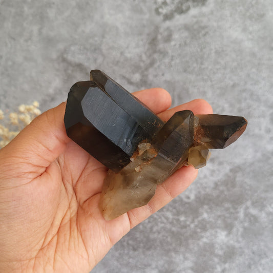 A hand holding a cluster of smoky quartz crystal points against a textured gray background.