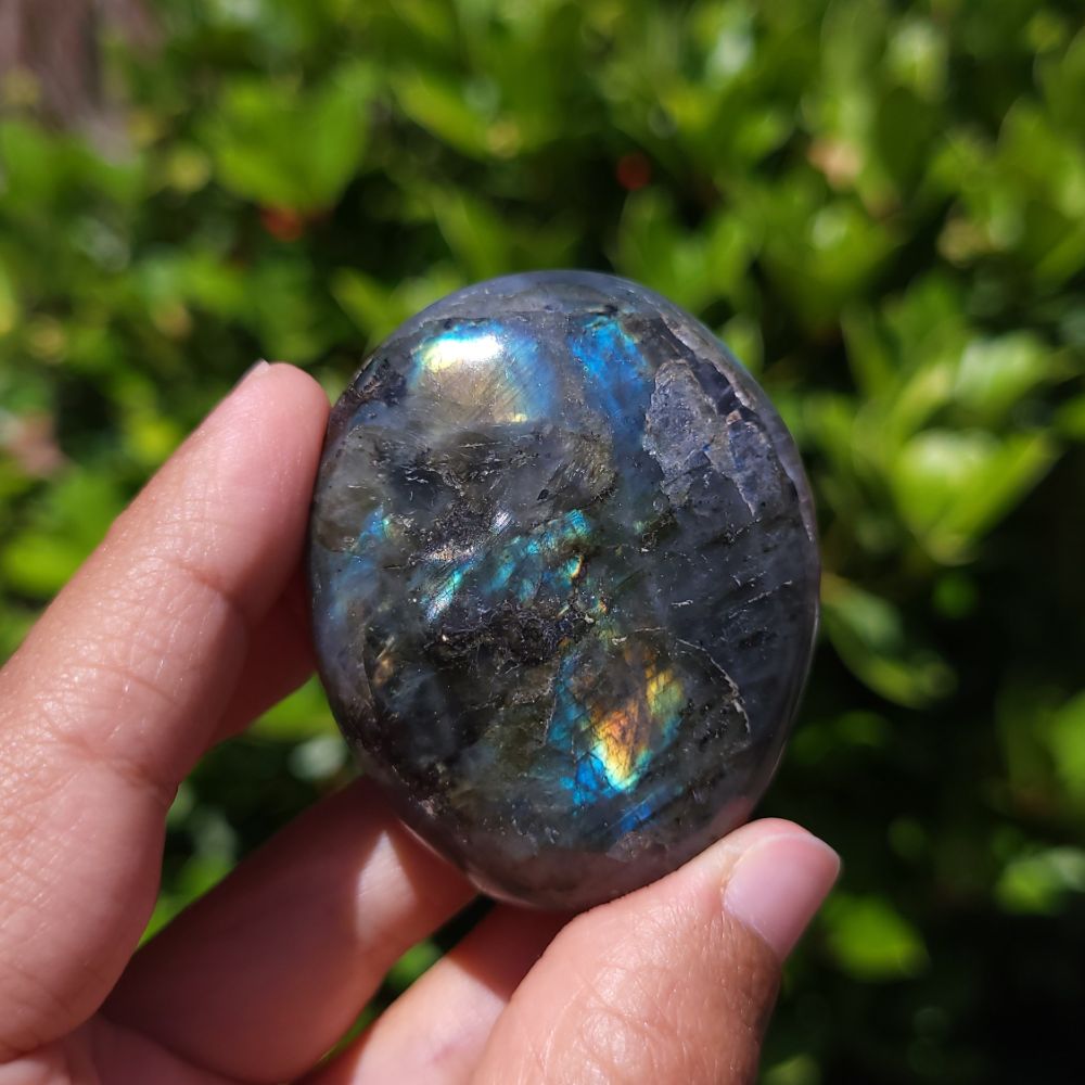 Person holding a labradorite stone with iridescent surface against a green leafy background