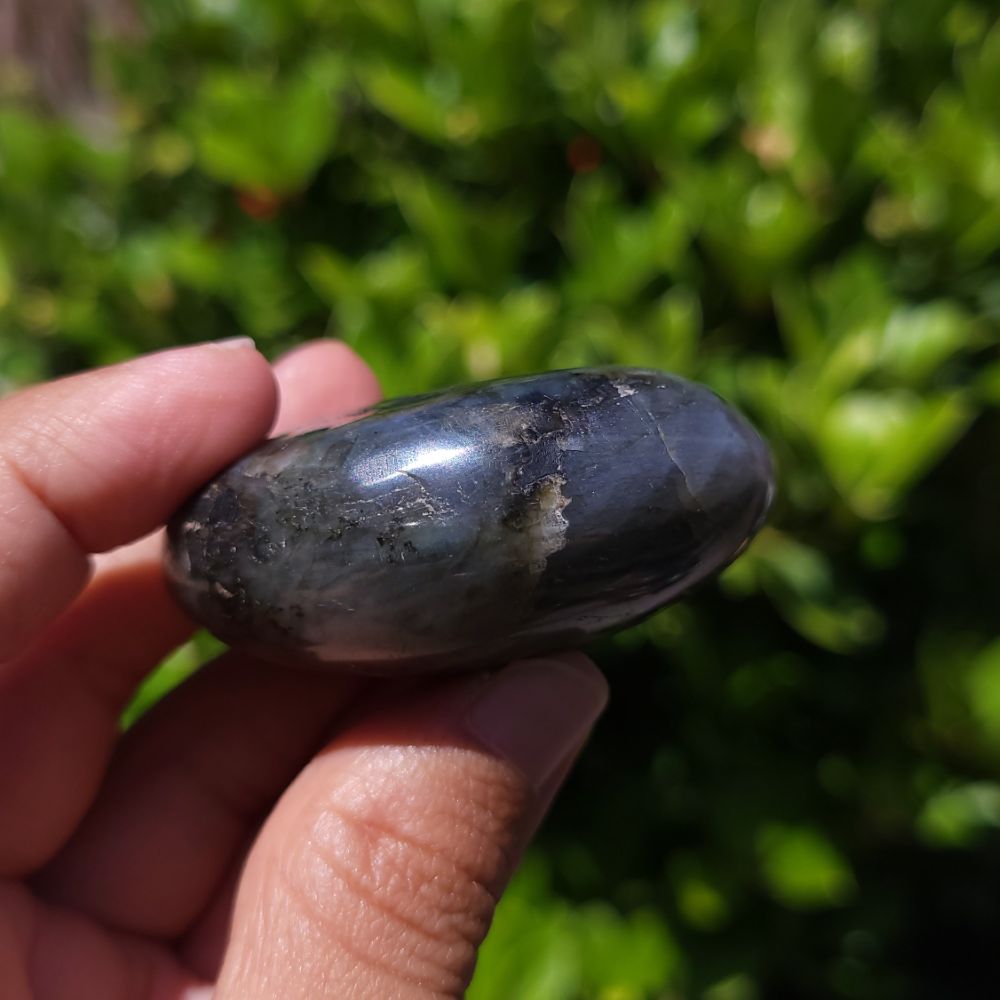 Hand holding a dark stone against a blurred green background