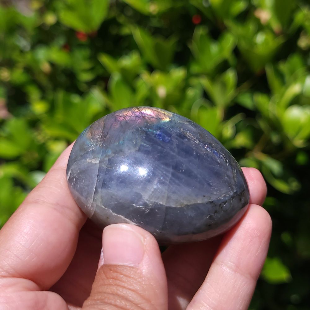 Person holding a Labradorite stone with a green leafy background