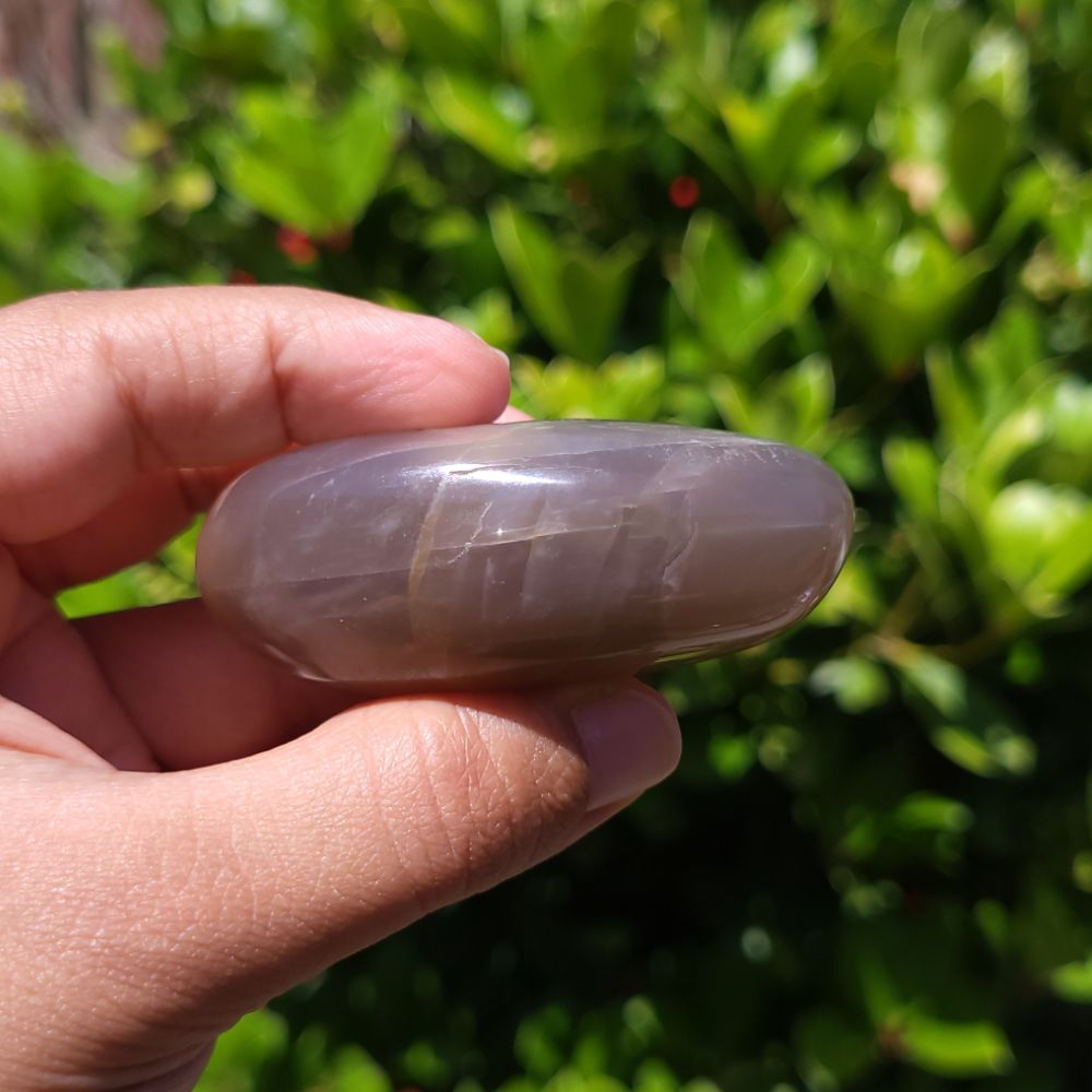 Hand holding a smooth, oval-shaped peach moonstone palm stone with a green leafy background