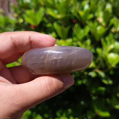 Hand holding a smooth, oval-shaped peach moonstone palm stone with a green leafy background