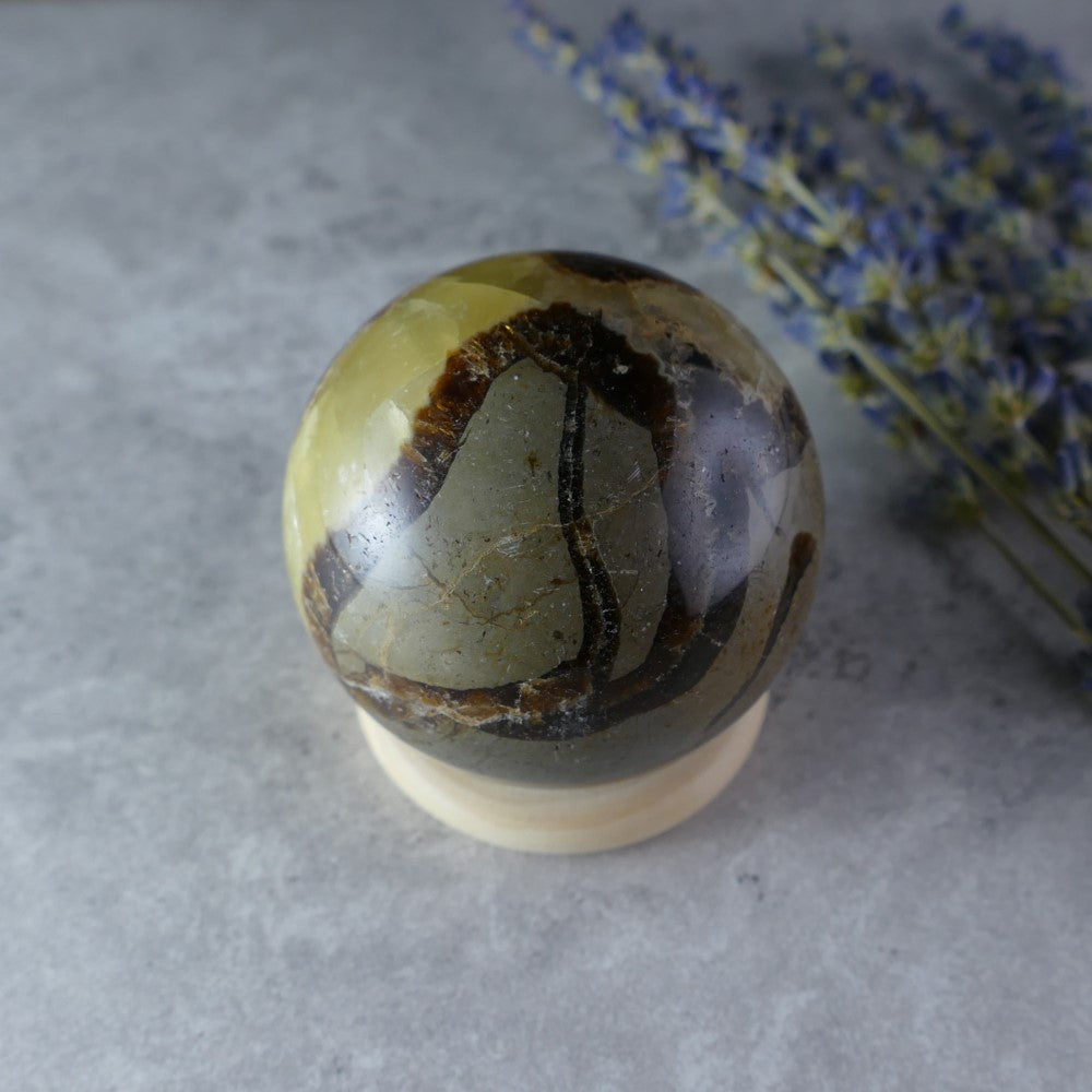 Pocket-Sized Earth Magic - Dumi's Crystals Mini Septarian Sphere (4.5cm, 128g). Millions-year-old stone with beautiful patterns. Perfect for meditation, crystal healing, or carrying for a sense of stability. 