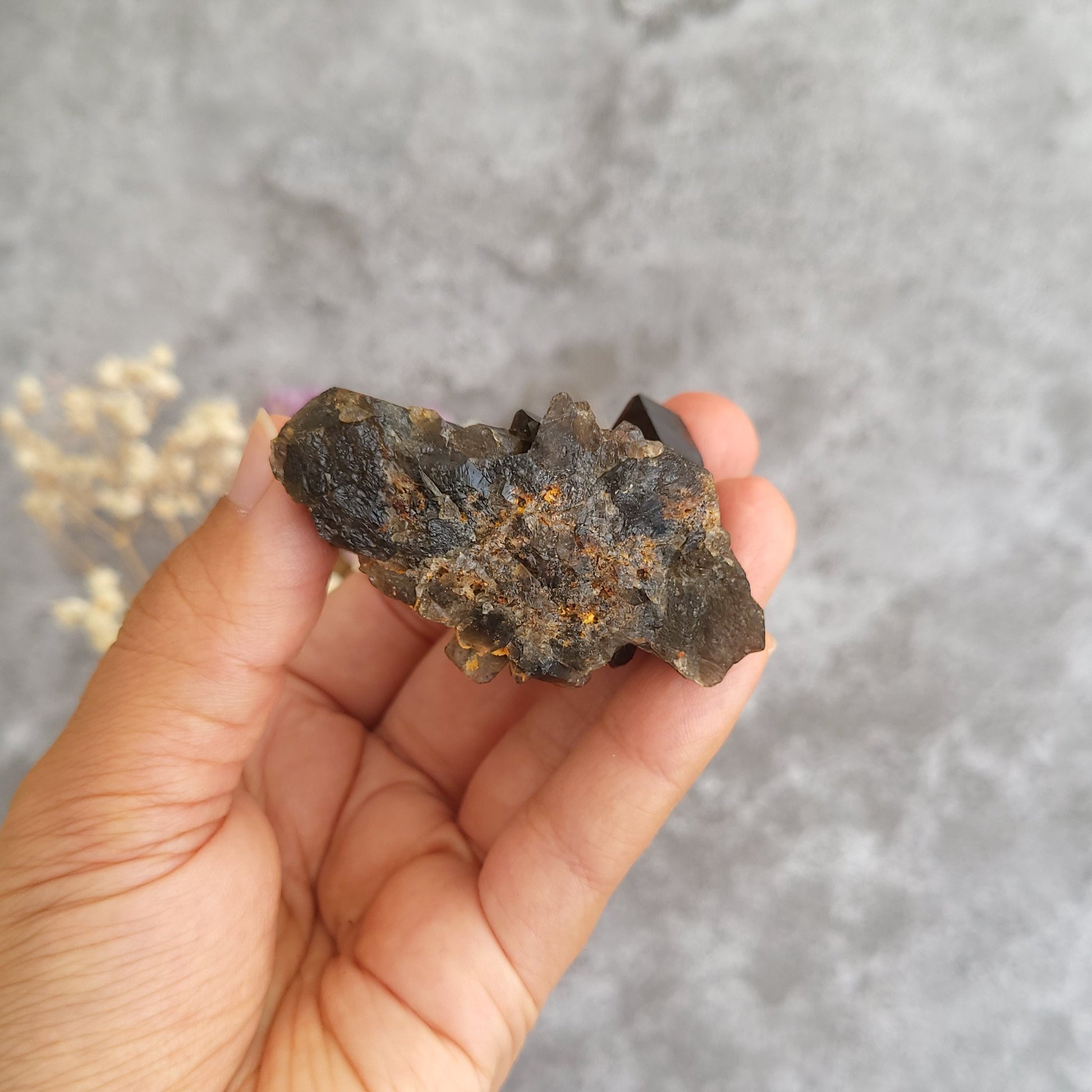 A hand holding a rough, dark brown and black mineral specimen with small orange inclusions, set against a textured gray background with a small dried flower prop.