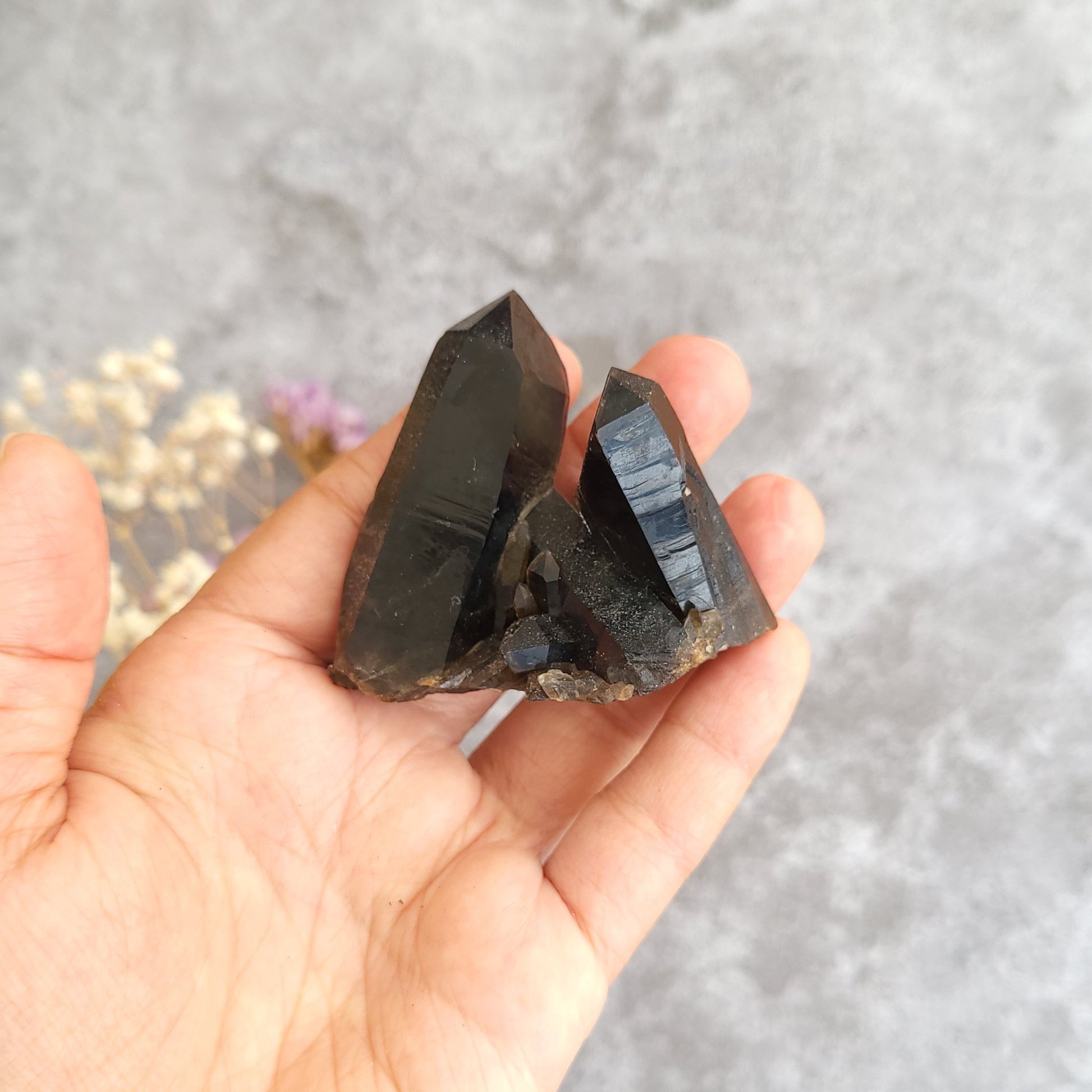 A hand holding a cluster of dark, semi-translucent crystal points against a textured gray background with small dried flowers in the corner.