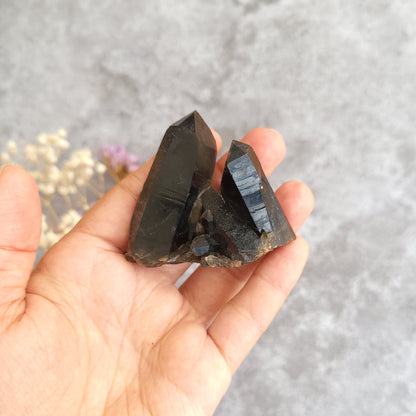 A hand holding a cluster of dark, semi-translucent crystal points against a textured gray background with small dried flowers in the corner.