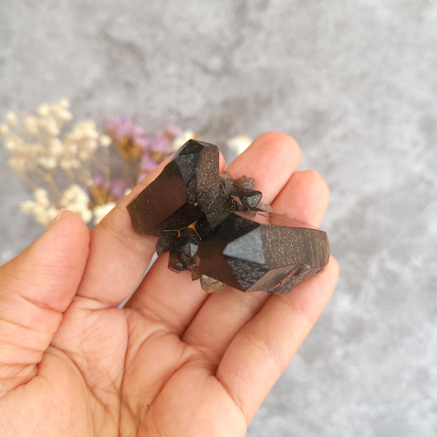 A hand holding a cluster of dark brown smoky quartz crystal points against a soft gray textured background with blurred dried flowers.