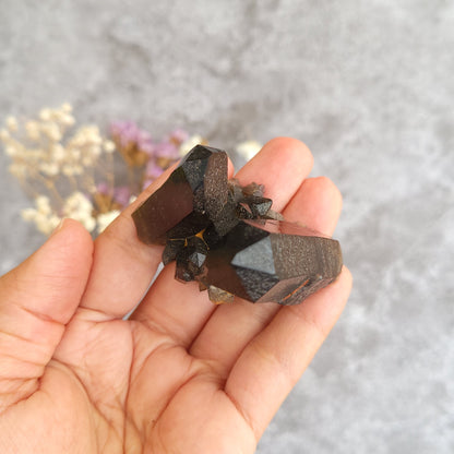 A hand holding a cluster of dark brown smoky quartz crystal points against a soft gray textured background with blurred dried flowers.