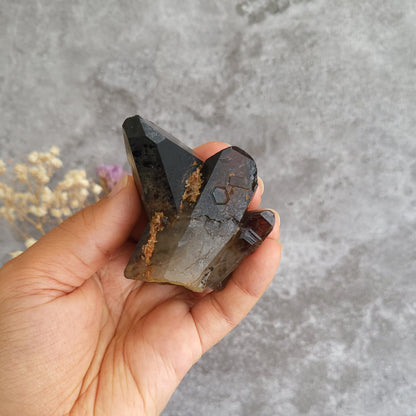 A hand holding a smoky brown and black crystal cluster with natural inclusions, set against a textured gray concrete background with dried flowers in the corner.