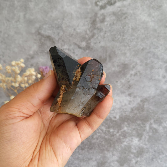 A hand holding a smoky brown and black crystal cluster with natural inclusions, set against a textured gray concrete background with dried flowers in the corner.