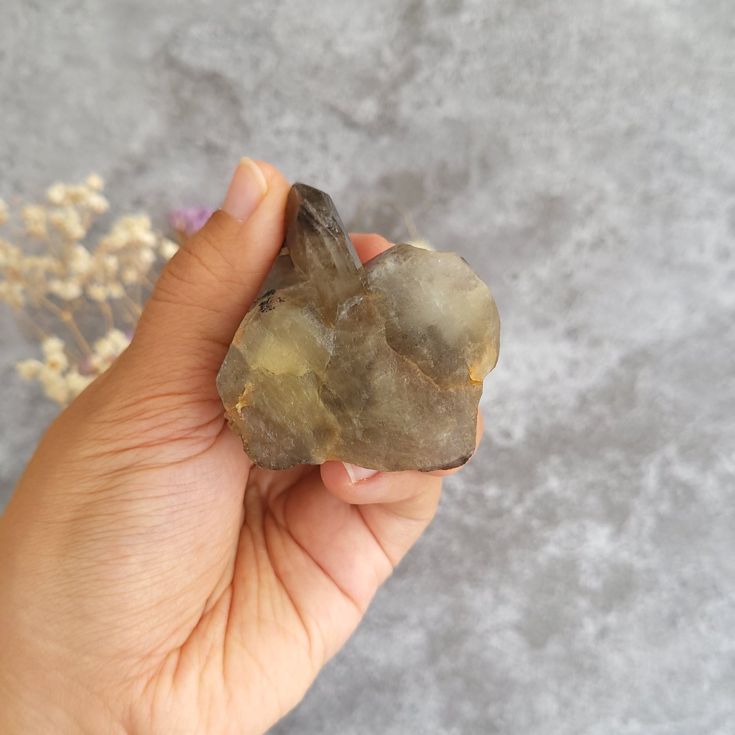 A hand holding a raw smoky quartz crystal cluster with natural pointed tips, set against a textured gray background with dried flowers in the soft focus.