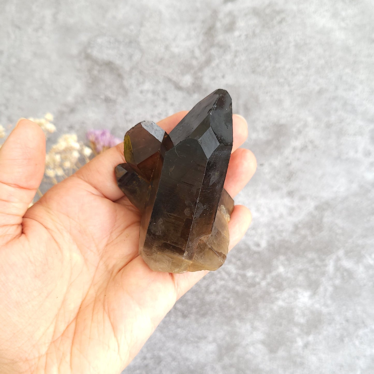 A hand holding a cluster of smoky brown and translucent dark crystal points against a textured gray background.