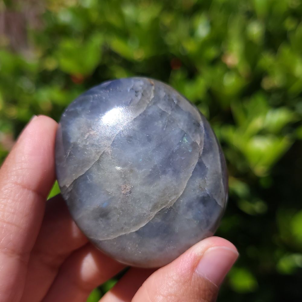 Hand holding a labradorite palm stone against a green leafy background