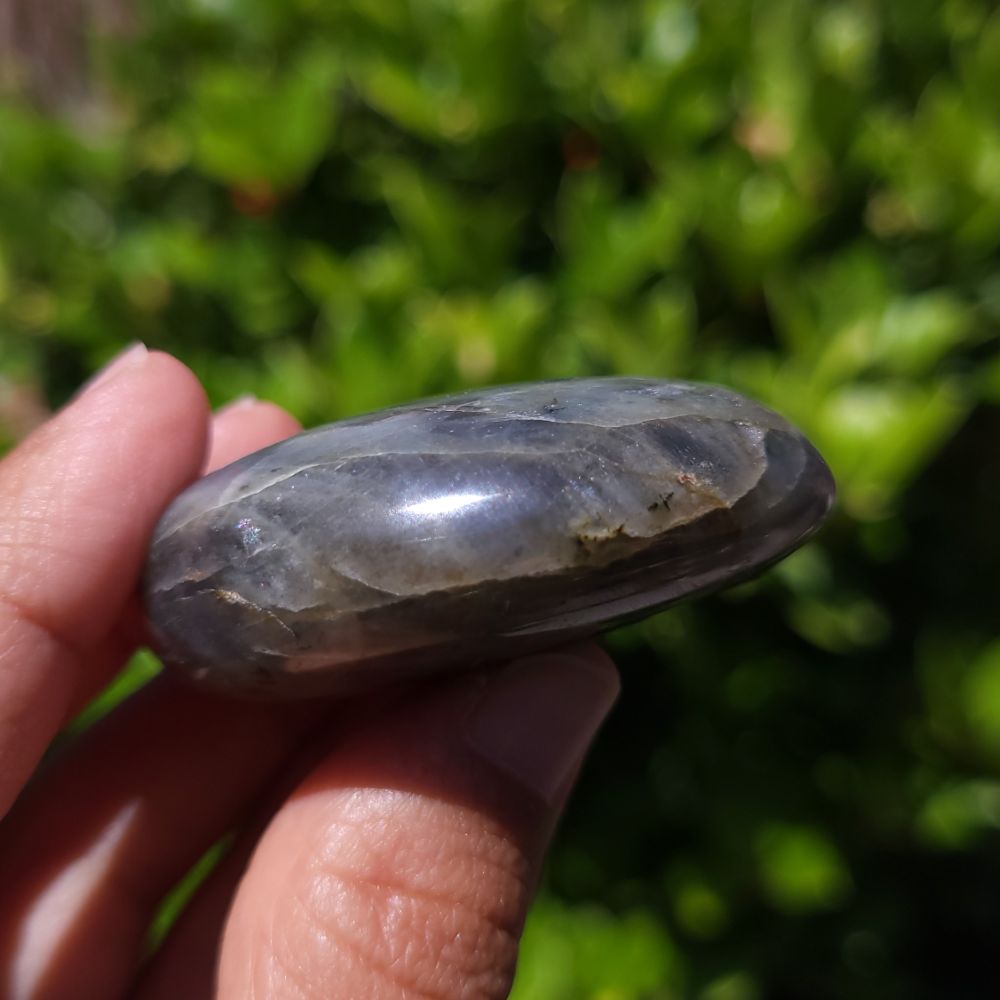 Hand holding a polished stone against a blurred green background