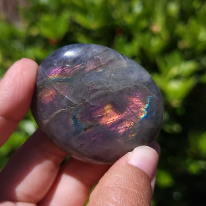 Person holding a purple flash labradorite stone with a blurred green background