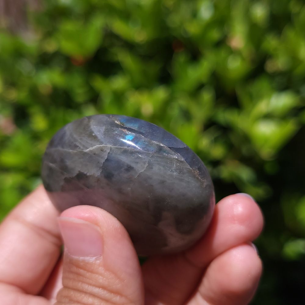 Person holding a polished labradorite stone with a blurred green foliage background