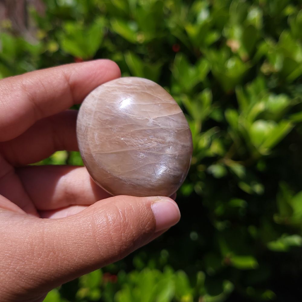 Hand holding a smooth peach moonstone palm stone against a green leafy background