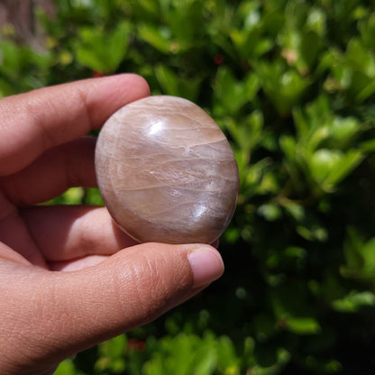 Hand holding a smooth peach moonstone palm stone against a green leafy background