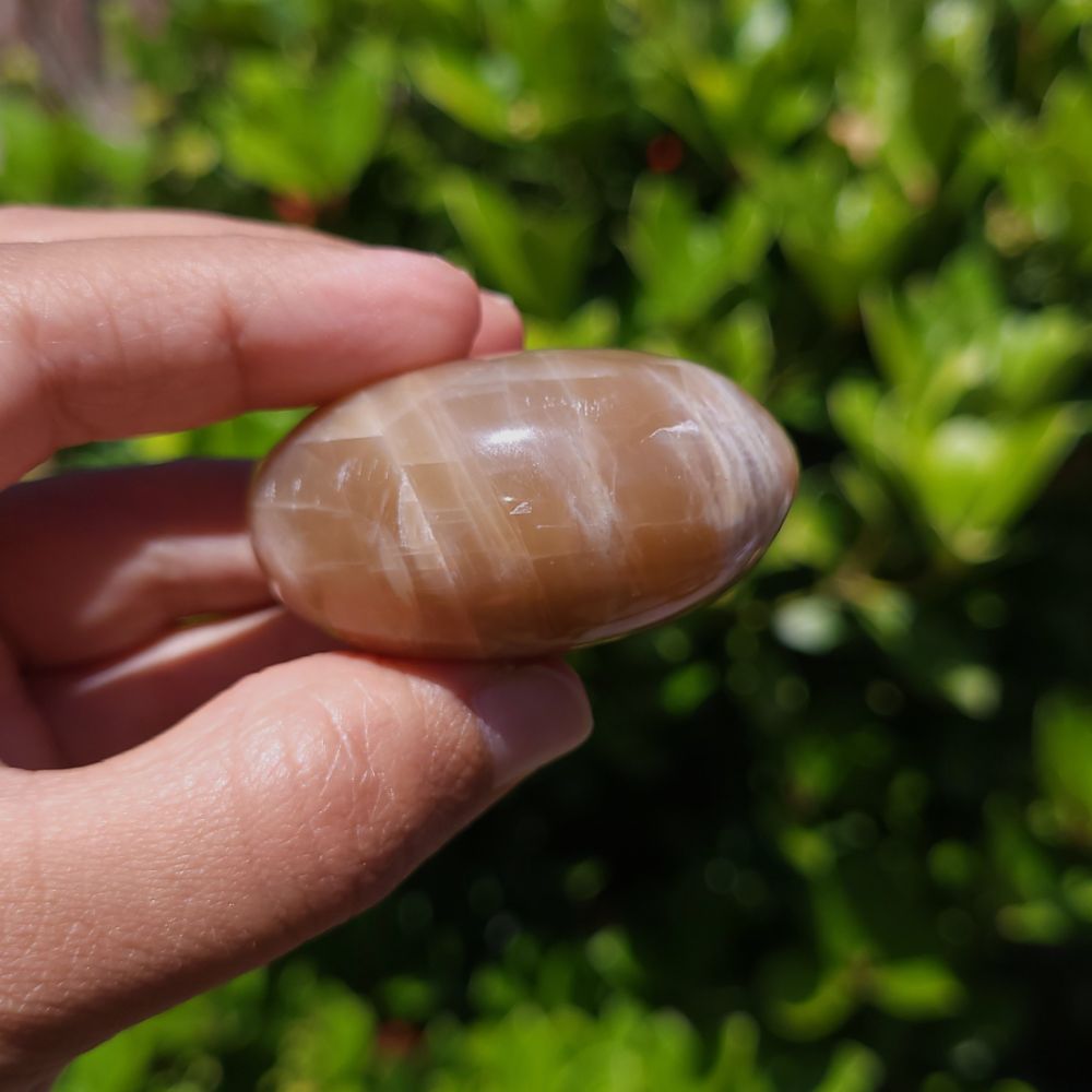 Hand holding a polished stone with a natural pattern against a blurred green background