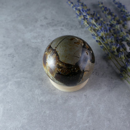 Dumi's Crystals Mini Septarian Sphere (4.4cm, 123g) - Earth's Wisdom in Your Pocket. Millions-year-old stone with captivating patterns promotes well-being wherever you go. 
