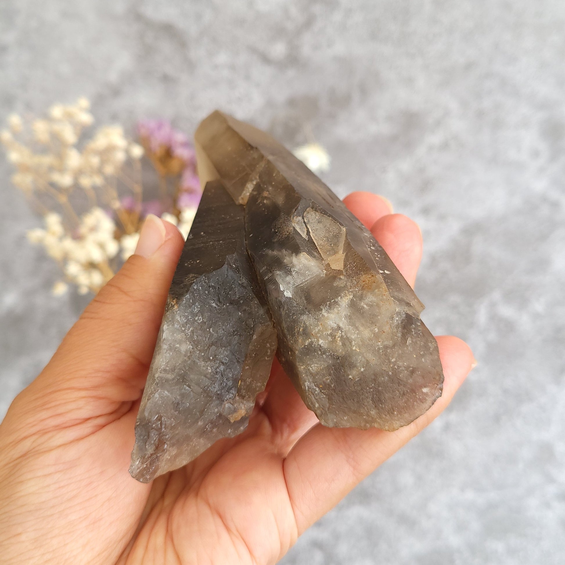 A hand holding two rough, translucent smoky quartz crystal points against a soft gray textured background with blurred dried flowers.