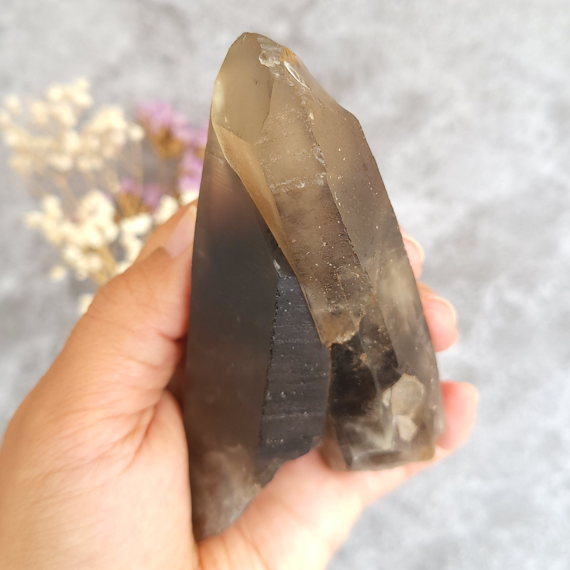 A hand holding a large natural smoky quartz crystal cluster against a soft gray background with blurred dried flowers.