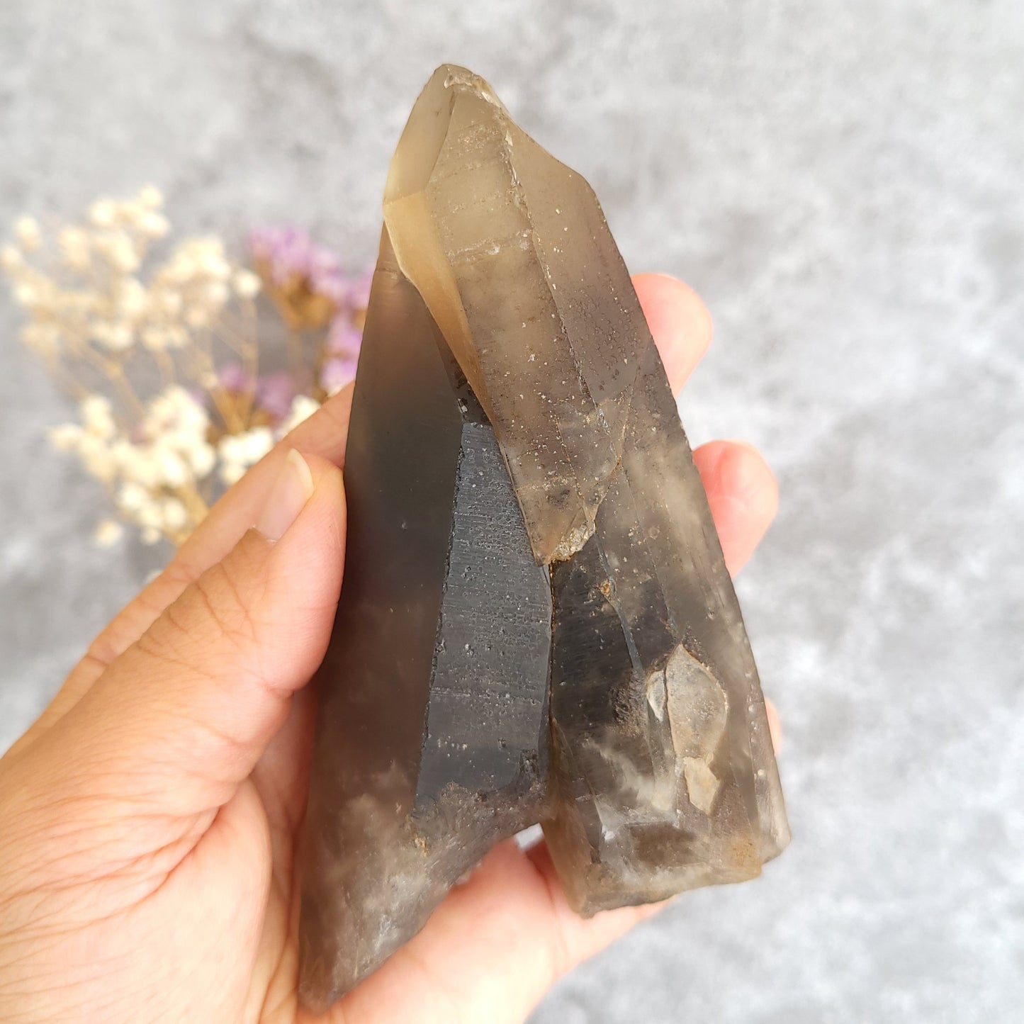 A hand holding a large smoky quartz crystal point against a soft gray textured background with small dried flowers in the blurred background.