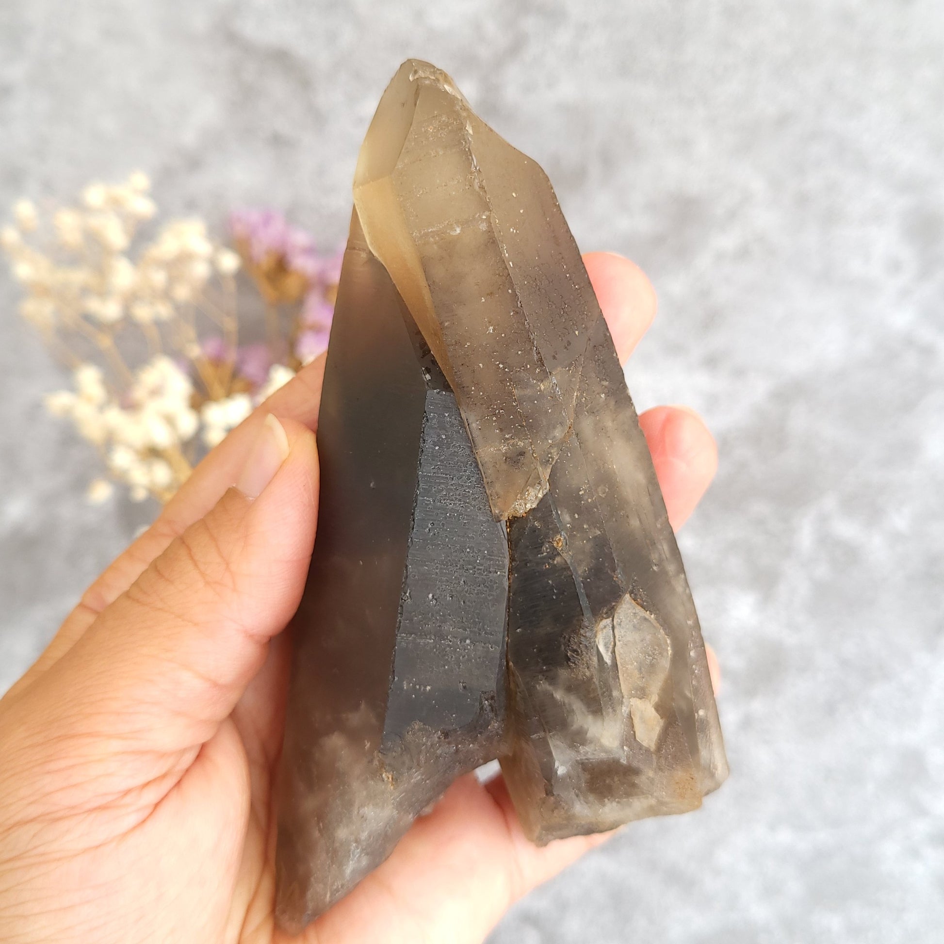 A hand holding a large smoky quartz crystal point against a soft gray textured background with small dried flowers in the blurred background.