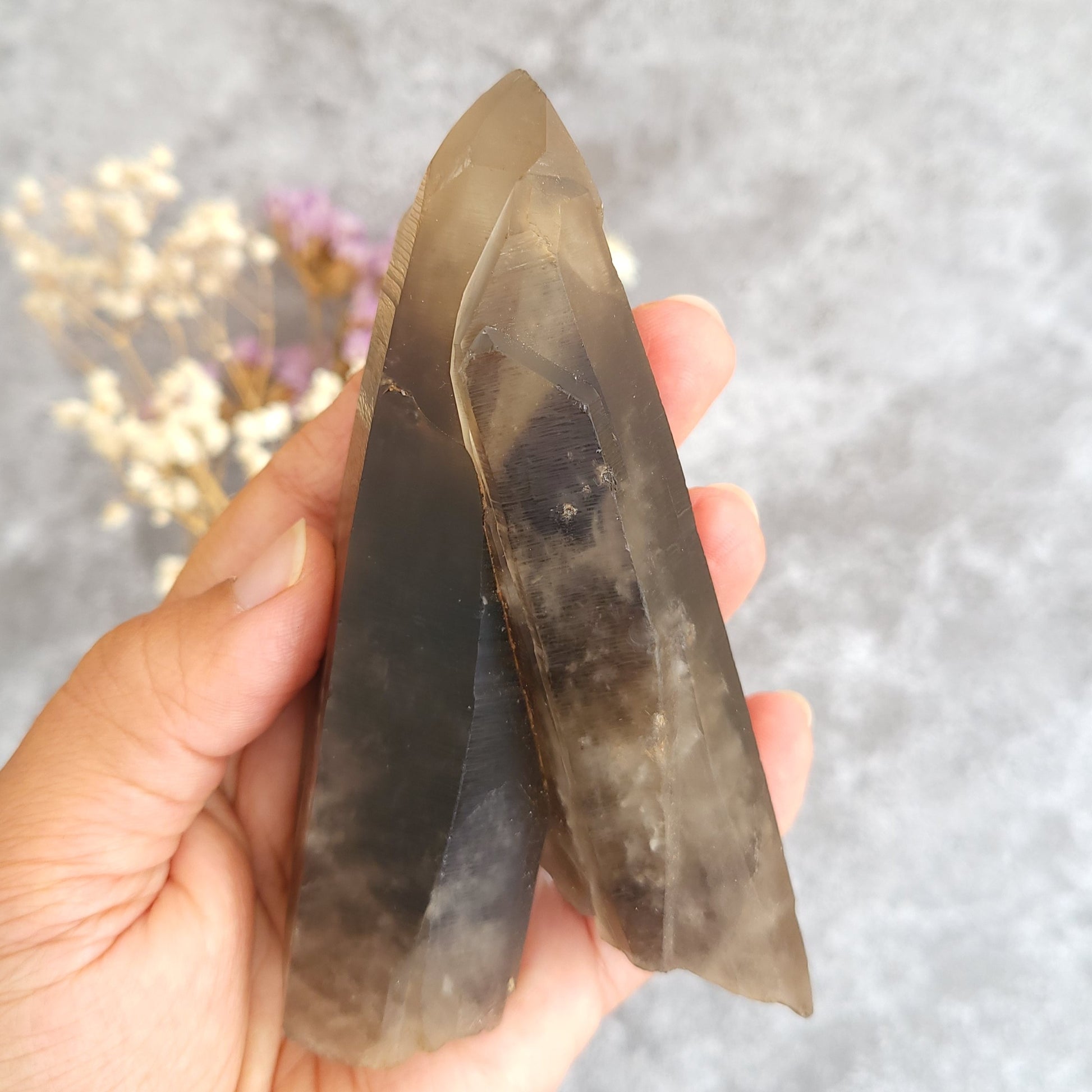 A hand holding two natural smoky quartz crystal points against a gray textured background with dried flowers.