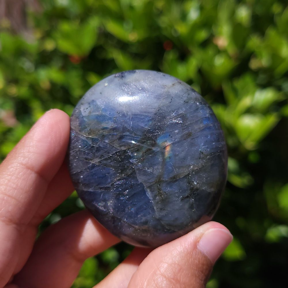 Hand holding a blue labradorite stone with a green leafy background
