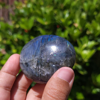 Hand holding a blue flash labradorite palm stone with a blurred green plant background