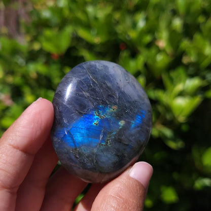 Hand holding a labradorite stone with a blurred green leafy background