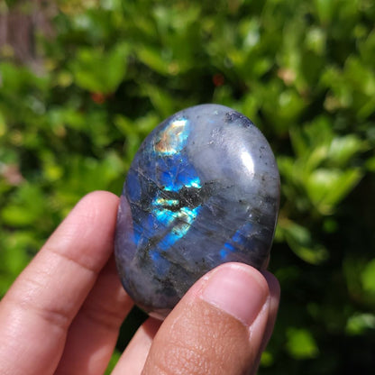 Person holding a labradorite stone with  a blurred green background