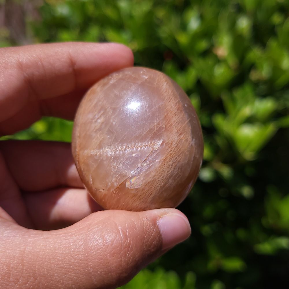 Hand holding a polished Peach Moonstone palm stone against a blurred green background