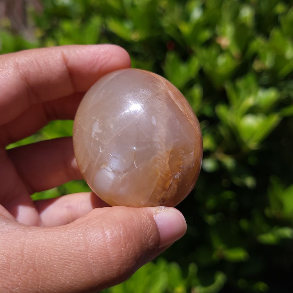 Hand holding a translucent brownish-orange Peach Moonstone palm stone against a green leafy background