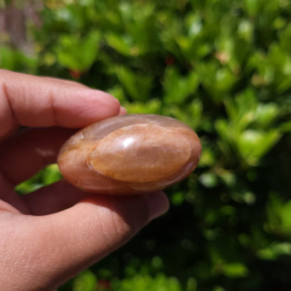 Hand holding a polished Peach Moonstone palm stone with a natural green background