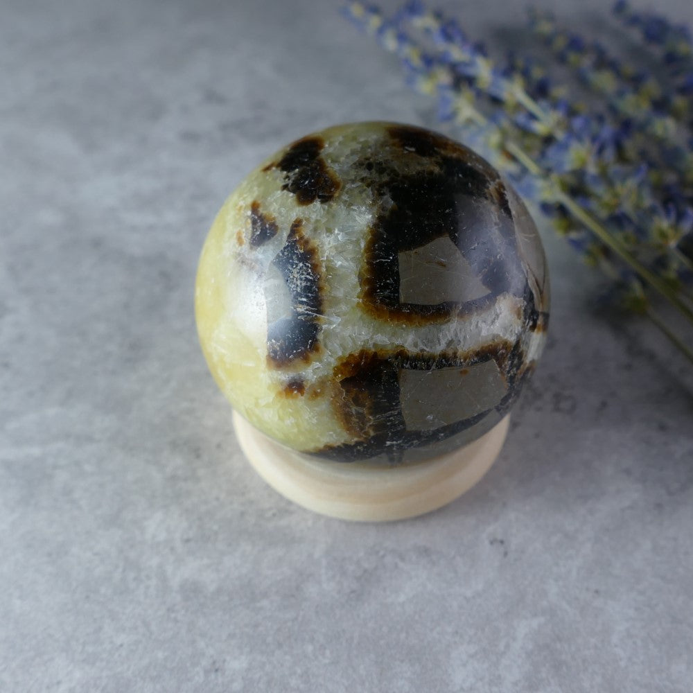 Pocket Dragon Stone Power - Dumi's Crystals Mini Septarian Sphere (4.4cm, 120g). Millions-year-old stone with captivating colors promotes emotional balance & grounding wherever you go.