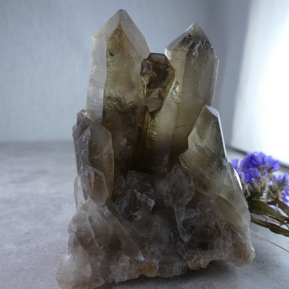 Dumi's Crystals Smoky Quartz Pillar (8cm). Rich, smoky hues radiate grounding & tranquility. Substantial weight (206g) for meditation & crystal healing.
