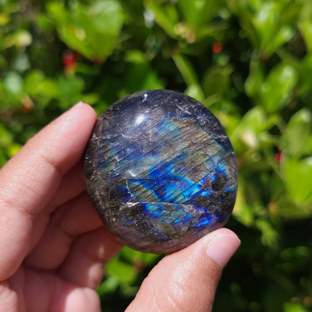 Person holding a Labradorite stone with a reflective surface against a green leafy background