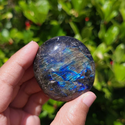 Person holding a Labradorite stone with a reflective surface against a green leafy background