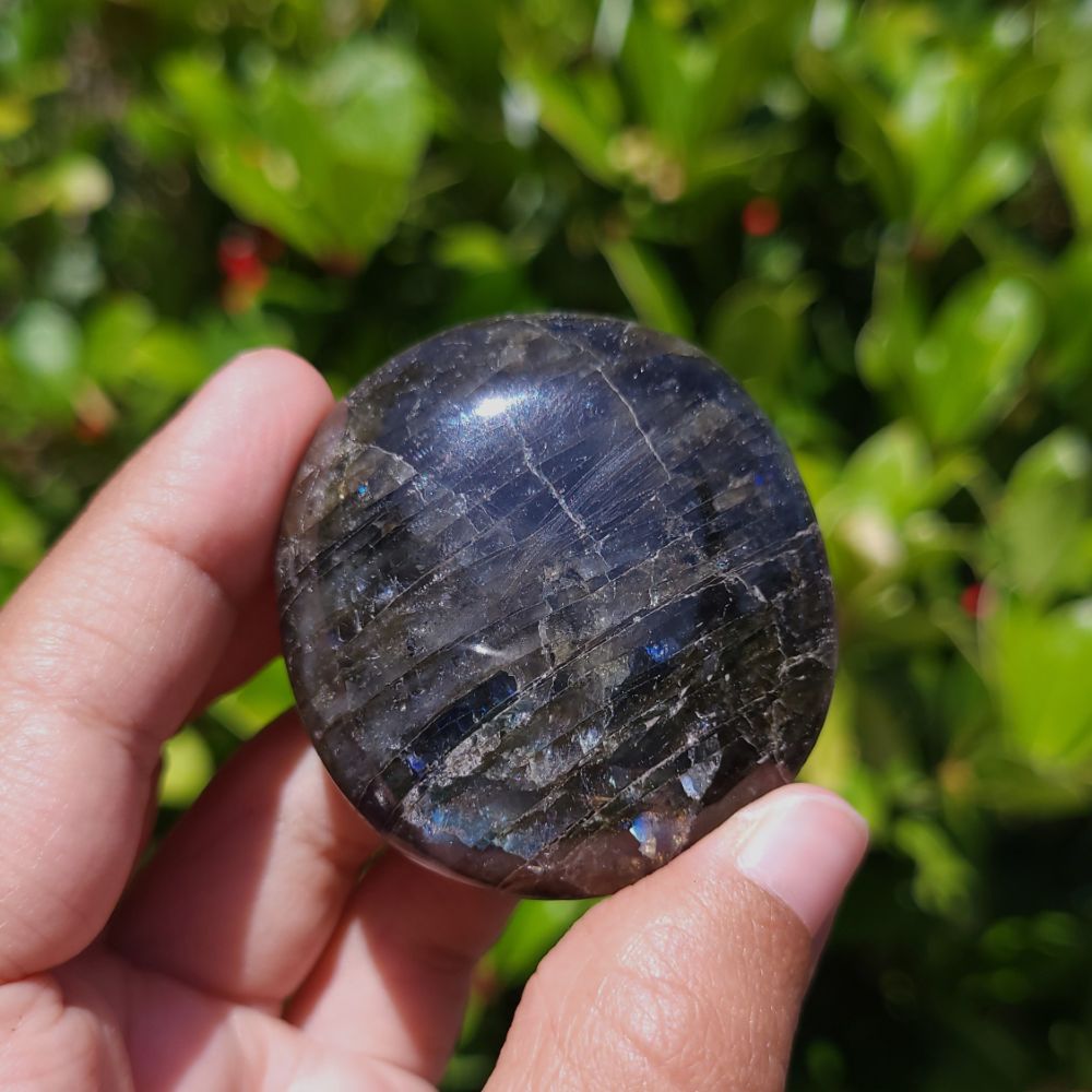 Hand holding a dark blue labradorite palm stone with a green leafy background