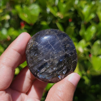 Hand holding a dark blue labradorite palm stone with a green leafy background