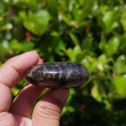 Hand holding a dark stone against a blurred green foliage background