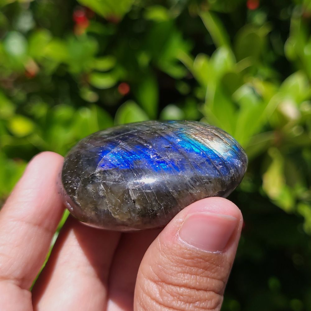 Person holding a labradorite stone with a reflective blue surface against a green leafy background